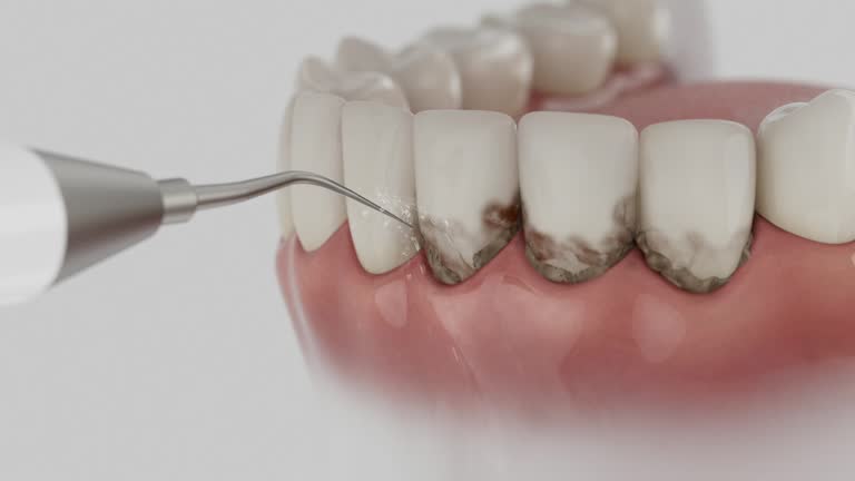 Reliable Dental contractor in Wilberforce, OH by Dentist Open Now